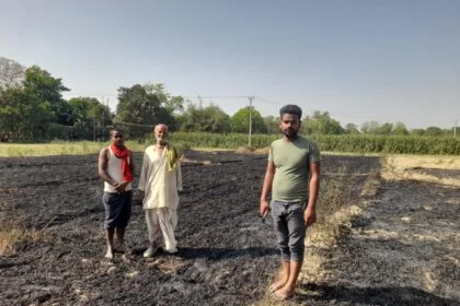 नावकोठी में महेशवारा में ट्रांसफार्मर ब्लास्ट से गेहूं की फसल में लगी आग, कई किसानों की मेहनत जलकर राख 17