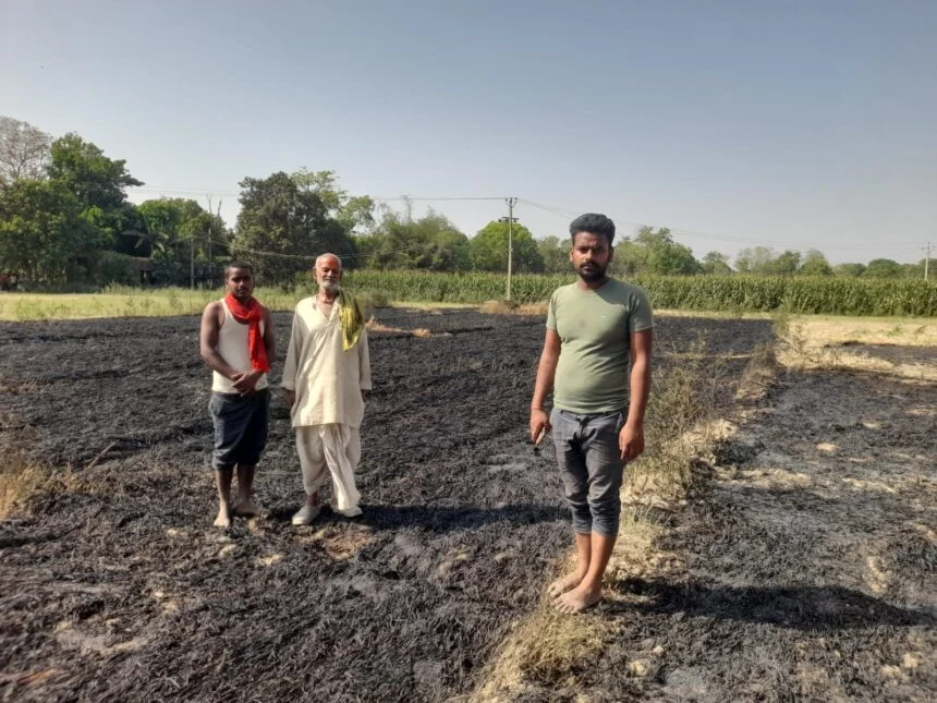 नावकोठी में महेशवारा में ट्रांसफार्मर ब्लास्ट से गेहूं की फसल में लगी आग, कई किसानों की मेहनत जलकर राख 1