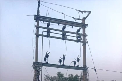 नावकोठी में 11 हजार वोल्ट के पांच पोल तार पर चोरों ने किया हाथ साफ 51