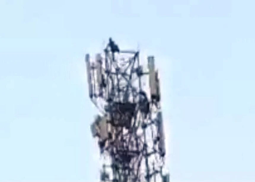 समस्तीपुर: पत्नी को बुलाने की जिद में मोबाइल टॉवर पर चढ़ा पति, घंटों चला हाई वोल्टेज ड्रामा; पुलिस ने सुरक्षित उतारा 1