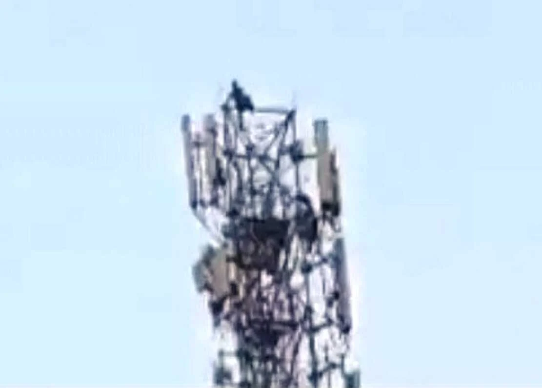 समस्तीपुर: पत्नी को बुलाने की जिद में मोबाइल टॉवर पर चढ़ा पति, घंटों चला हाई वोल्टेज ड्रामा; पुलिस ने सुरक्षित उतारा 3