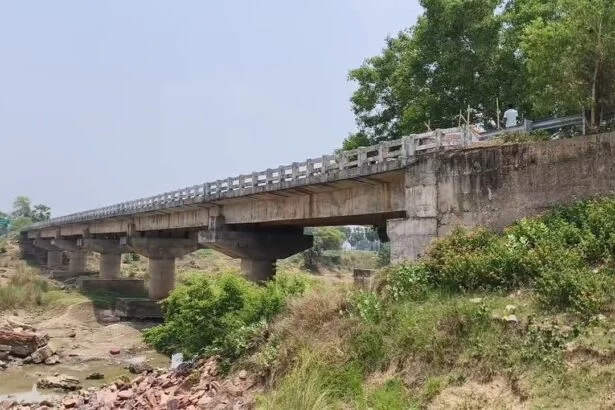 नालंदा : महज 10 साल में जर्जर होकर धंसा पुल, 50 से अधिक गांवों का संपर्क टूटा 9