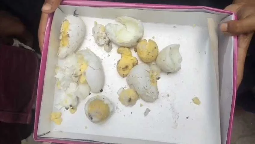 बेगूसराय में मंत्री के समधि की धौंस और स्कूल की लापरवाही, भीषण गर्मी में बच्चों को परोसा सड़ा अंडा, बीमार होने पर बवाल 2