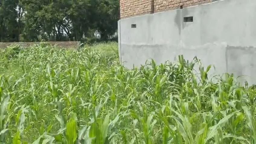 बेगूसराय के मंसूरचक में नाबालिग छात्रा को फ़िल्मी स्टाइल मे कार से अगुवा कर सुनसान जगह ले जाकर दुष्कर्म की वारदात,पुलिस ने कार की जब्त, एक गिरफ्तार 3