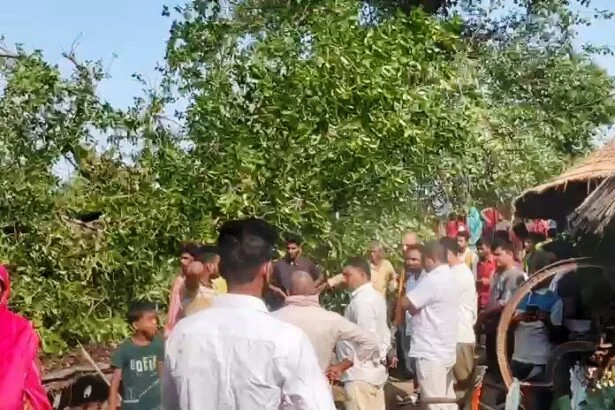 समस्तीपुर में कुदरत का कहर: तेज आंधी-बारिश के कारण बरगद का पेड़ गिरा, एक की मौत, कई घायल 3