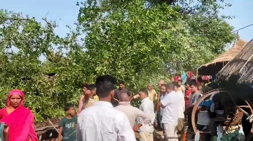 समस्तीपुर में कुदरत का कहर: तेज आंधी-बारिश के कारण बरगद का पेड़ गिरा, एक की मौत, कई घायल 10
