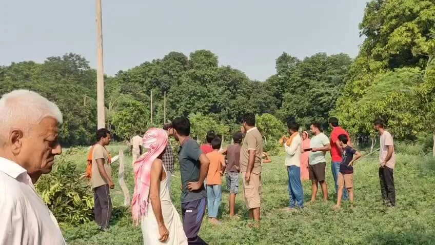 समस्तीपुर में उपद्रवियों का क्रूर कारनामा: पूसा के धर्मागतपुर बथुआ में डेढ़ एकड़ में लगे आम के 55 पेड़ काटे, किसान की 5 साल की मेहनत बर्बाद 2