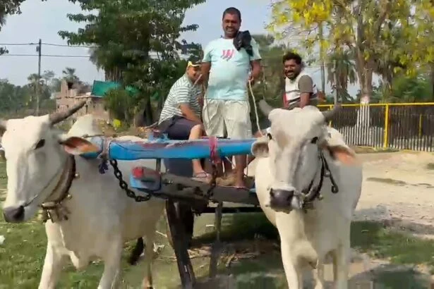 समस्तीपुर में दिखा पीएम मोदी की अपील का असर: केवस निजामत में ट्रैक्टर छोड़ बैलगाड़ी से फसल ढो रहे किसान, युवाओं ने भी बनाई डीजल-पेट्रोल से दूरी 5