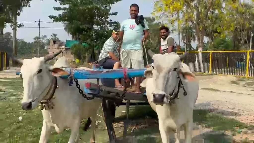 समस्तीपुर में दिखा पीएम मोदी की अपील का असर: केवस निजामत में ट्रैक्टर छोड़ बैलगाड़ी से फसल ढो रहे किसान, युवाओं ने भी बनाई डीजल-पेट्रोल से दूरी 9