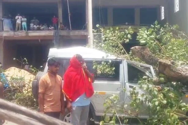 समस्तीपुर-पटोरी मुख्य पथ पर बड़ा हादसा टला: चलती गाड़ी पर गिरा विशाल पीपल का पेड़, कैदियों और पुलिसकर्मियों समेत आधा दर्जन घायल 7