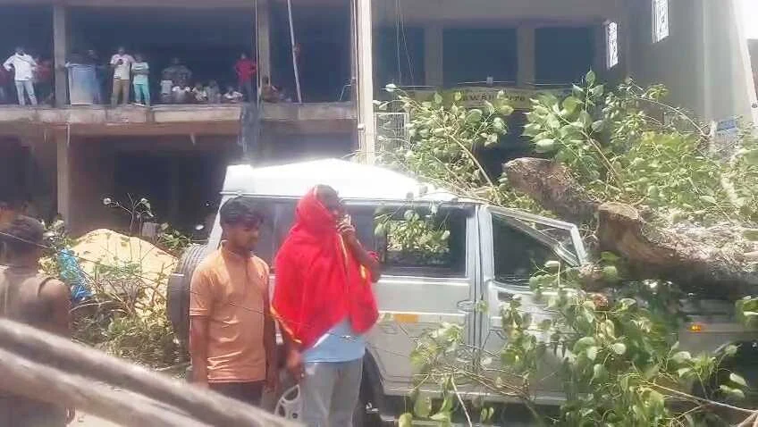 समस्तीपुर-पटोरी मुख्य पथ पर बड़ा हादसा टला: चलती गाड़ी पर गिरा विशाल पीपल का पेड़, कैदियों और पुलिसकर्मियों समेत आधा दर्जन घायल 9