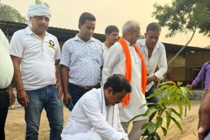 विश्व पर्यावरण दिवस पर तेघड़ा गौशाला परिसर में विधायक रजनीश कुमार ने किया वृक्षारोपण 18
