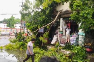 बेगूसराय में मौसम का रौद्र रूप: आंधी-तूफान और मूसलाधार बारिश से शहर बेपटरी, उड़ गए दुकानों के तिरपाल और होर्डिंग 41