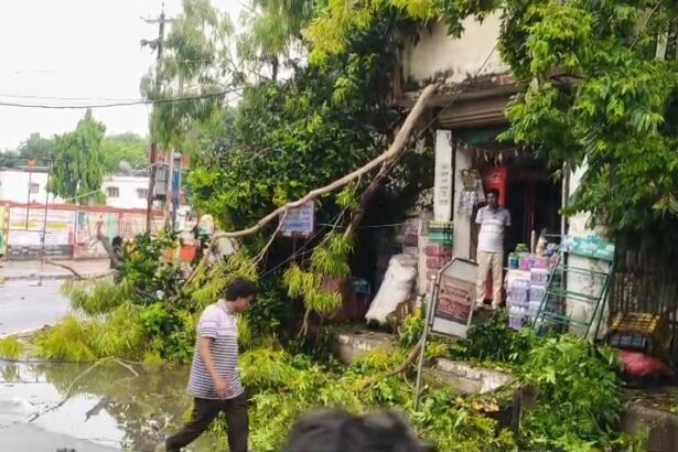 बेगूसराय में मौसम का रौद्र रूप: आंधी-तूफान और मूसलाधार बारिश से शहर बेपटरी, उड़ गए दुकानों के तिरपाल और होर्डिंग 3