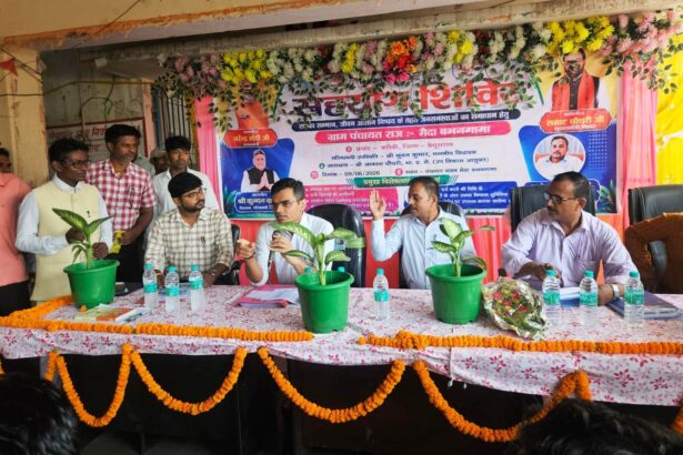 सहयोग से समाधान: बरौनी और बीहट में शिविर लगाकर दूर की गईं जनसमस्याएं, सैकड़ों आवेदनों का हुआ ऑन द स्पॉट निष्पादन 1