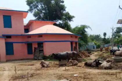 वीरपुर: प्रथम त्रैमासिक परीक्षा को लेकर शिक्षकों की छुट्टियां रद्द, बीईओ ने जारी किया आदेश 4
