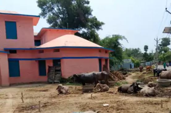 वीरपुर: प्रथम त्रैमासिक परीक्षा को लेकर शिक्षकों की छुट्टियां रद्द, बीईओ ने जारी किया आदेश 3