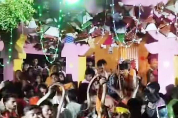 वीरपुर में प्रतिबंध के बावजूद नौला भगवती स्थान के पास सांपों के साथ करतब का वीडियो वायरल 3