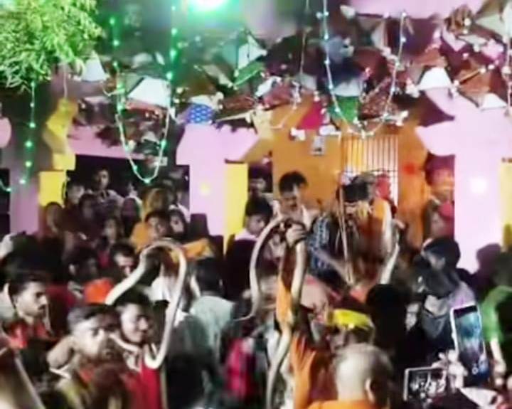 वीरपुर में प्रतिबंध के बावजूद नौला भगवती स्थान के पास सांपों के साथ करतब का वीडियो वायरल 7
