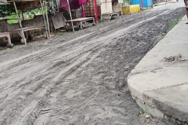वीरपुर: प्रशासन रहा नाकाम तो समिति ने उठाया बीड़ा, 9 टेलर राबिश डालकर जन्माष्टमी मेला परिसर से दूर किया जलजमाव 1