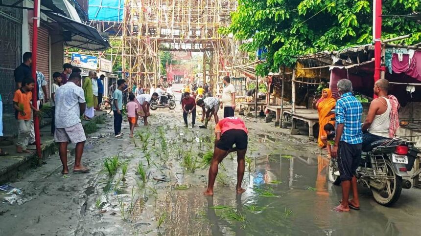 वीरपुर में जर्जर सड़क और जलजमाव के खिलाफ फूटा आक्रोश: सड़क पर धान रोपनी कर 5 घंटे तक किया चक्का जाम 1