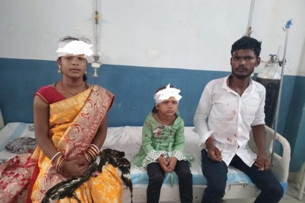 एनएच-31 पर बीहट सीएनजी पंप के पास भीषण सड़क हादसा: बाइक और कार की टक्कर में दंपति व 7 वर्षीय बच्ची गंभीर रूप से घायल 3
