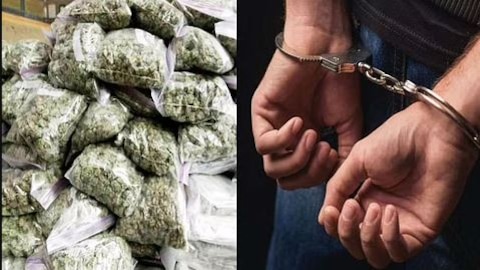 समस्तीपुर: नारकोटिक्स और पुलिस की बड़ी कार्रवाई, 318 किलो गांजे के साथ तीन महिलाएं हिरासत में 1