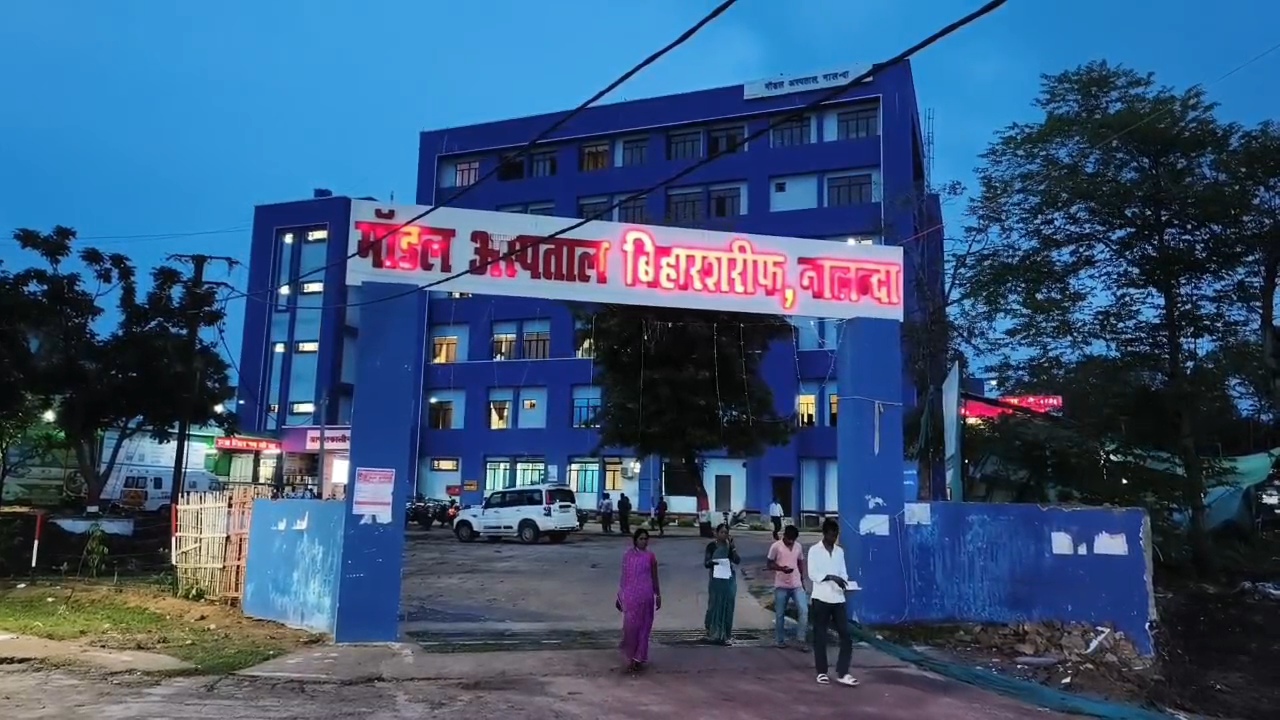 नालंदा में स्ट्रीट डॉग का आतंक, रोज 60-70 लोग हो रहे डॉग बाइट के शिकार, 6 महीने में 13 हजार से ज्यादा लोग बने आवारा कुत्तों का शिकार 4