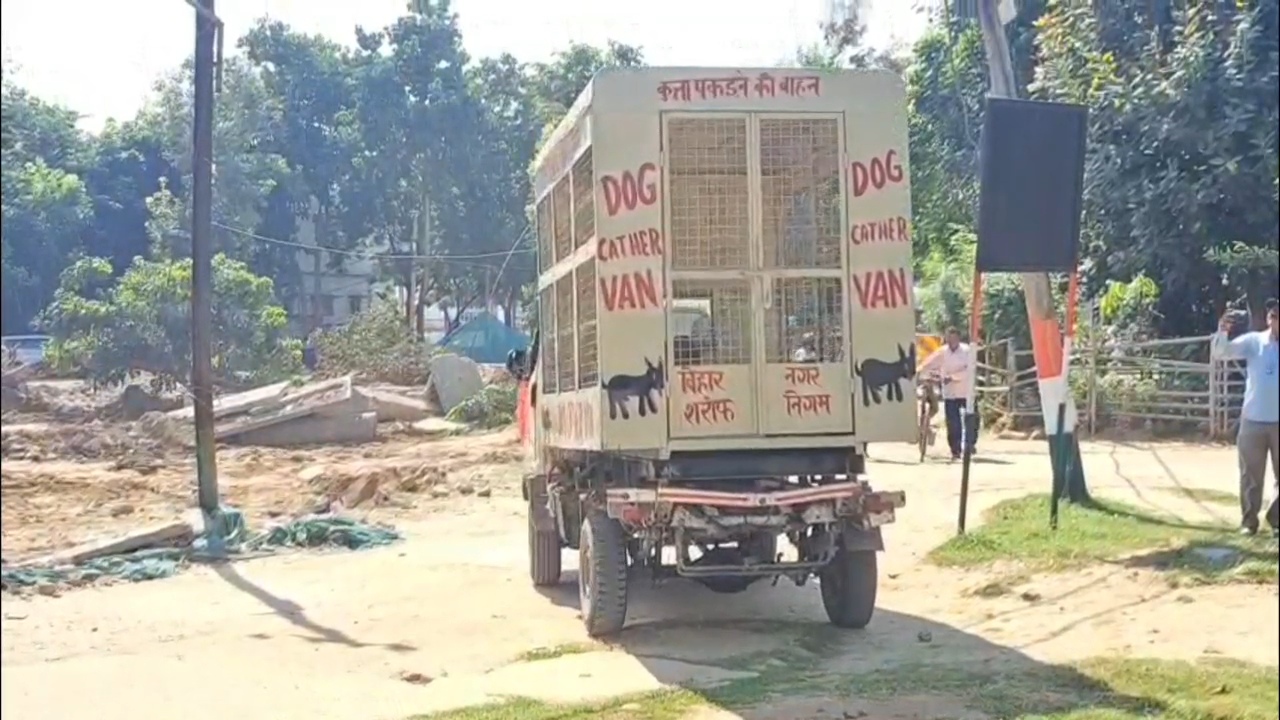 नालंदा में स्ट्रीट डॉग का आतंक, रोज 60-70 लोग हो रहे डॉग बाइट के शिकार, 6 महीने में 13 हजार से ज्यादा लोग बने आवारा कुत्तों का शिकार 3