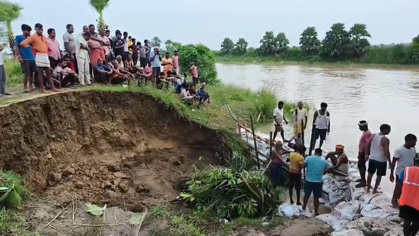 नालंदा: उतरथू पंचायत उतरथु गांव के पास बहवा नदी का तटबंध में दरार के कारण हुआ रिसाव, बीस गांवों पर मडराया बाढ़ खतरा, लगभग छह सौ बीघा में लगे धान हुआ जलमग्न, तटबंध की मरम्मति का काम जारी 3