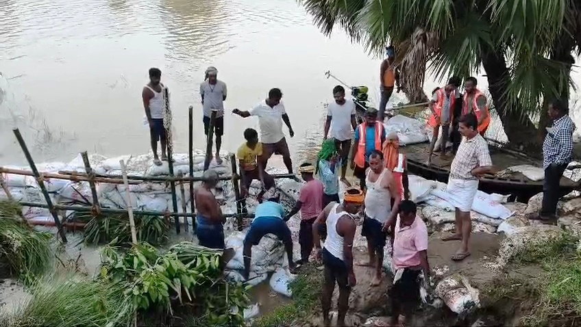नालंदा: उतरथू पंचायत उतरथु गांव के पास बहवा नदी का तटबंध में दरार के कारण हुआ रिसाव, बीस गांवों पर मडराया बाढ़ खतरा, लगभग छह सौ बीघा में लगे धान हुआ जलमग्न, तटबंध की मरम्मति का काम जारी 9