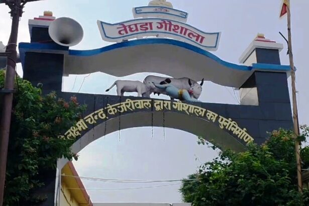 बेगूसराय: तेघड़ा में 100वें श्रीकृष्ण जन्माष्टमी मेले की भव्य तैयारी, 5 सितंबर को गिरिराज सिंह करेंगे उद्घाटन 7