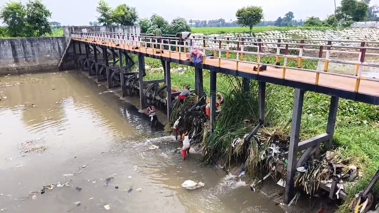 नालंदा: उफनती नदी के बीच रहुई में सूख रही धान की फसल, 12 करोड़ के बियर पर कचरे का अंबार; 25 गांवों में पटवन ठप 2