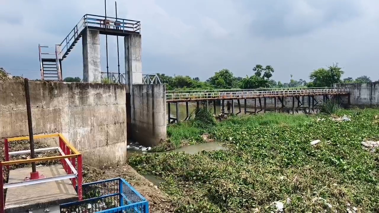 नालंदा: उफनती नदी के बीच रहुई में सूख रही धान की फसल, 12 करोड़ के बियर पर कचरे का अंबार; 25 गांवों में पटवन ठप 3