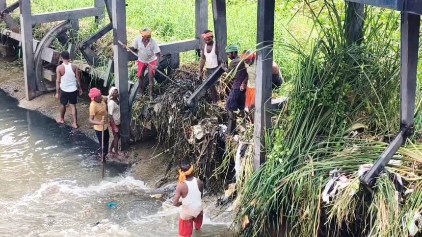नालंदा: उफनती नदी के बीच रहुई में सूख रही धान की फसल, 12 करोड़ के बियर पर कचरे का अंबार; 25 गांवों में पटवन ठप 1