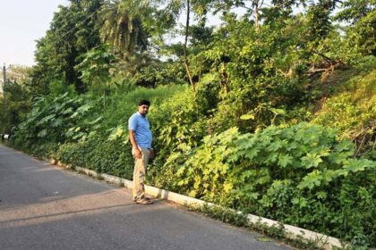 सड़क किनारे रखा बिजली का पोल हादसे को दे रहा न्योता, अविलंब हटाए विद्युत विभाग : रौशन कुमार 8