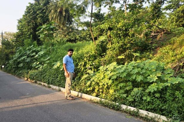 सड़क किनारे रखा बिजली का पोल हादसे को दे रहा न्योता, अविलंब हटाए विद्युत विभाग : रौशन कुमार 5