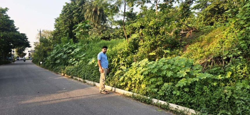 सड़क किनारे रखा बिजली का पोल हादसे को दे रहा न्योता, अविलंब हटाए विद्युत विभाग : रौशन कुमार 1