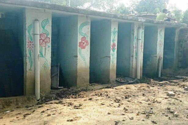लाखों की लागत से बना सामुदायिक शौचालय बदहाल, स्वच्छता के दावों की खुली पोल 5