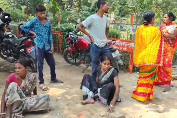 नालंदा: बिहटा-सरमेरा मार्ग पर भीषण सड़क हादसा, डाक पार्सल वाहन की टक्कर से ट्रैक्टर चालक की मौत 1
