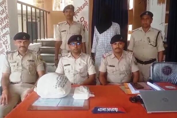 नालंदा: जेल से छूटते ही गांजा तस्करी में जुटा आरोपी, 1.596 किलो गांजा और चार कारतूस के साथ गिरफ्तार, करायपरशुराय थाना पुलिस ने की कार्रवाई 3