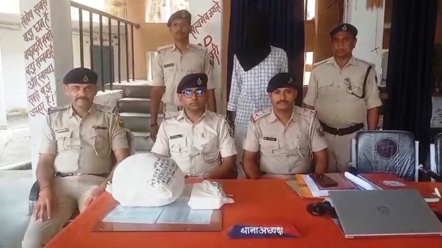 नालंदा: जेल से छूटते ही गांजा तस्करी में जुटा आरोपी, 1.596 किलो गांजा और चार कारतूस के साथ गिरफ्तार, करायपरशुराय थाना पुलिस ने की कार्रवाई 1